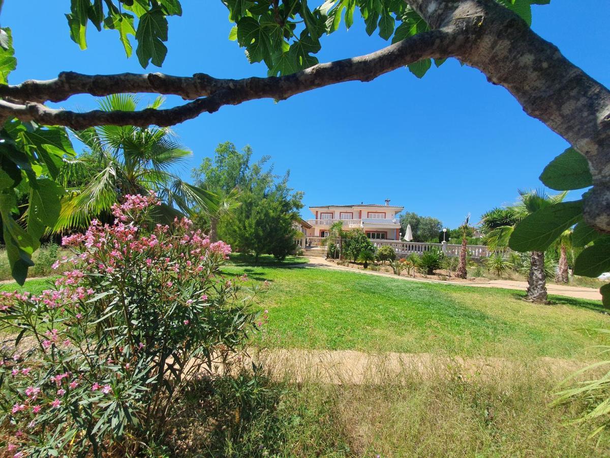 Villa Velo Marratxi Exterior photo